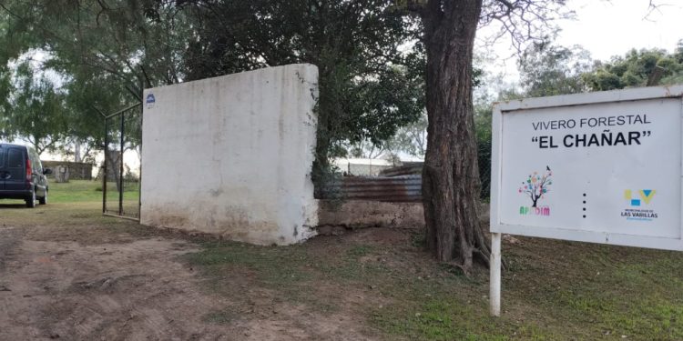 Robaron nuevamente en el vivero de APADIM