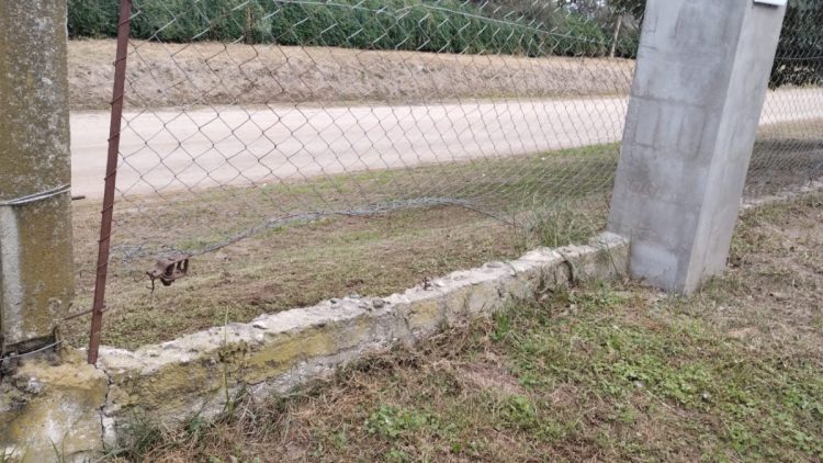 Robaron nuevamente en el vivero de APADIM