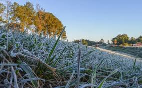 Heladas: “mayo siempre se caracterizó por tener estas temperaturas”