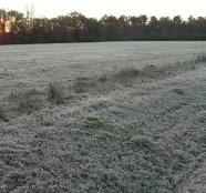 Fue un  domingo blanco en la región