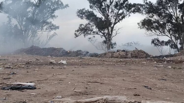 Incendio en basural norte