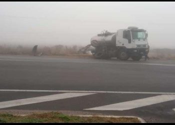 Intensa niebla habría provocado choque de camiones