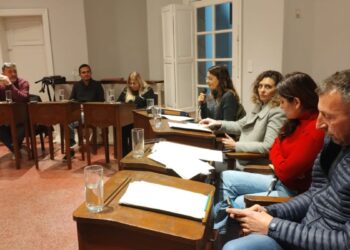 Solo la mayoría del Deliberante aprobó el incremento de valores del FODISA EMAV