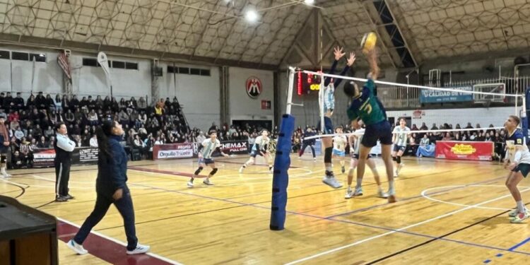Voley internacional: la selección argentina juvenil derrotó a la brasileña.Por Fernando Movalli