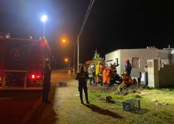 Rescataron  un animal que había caído a una zanja