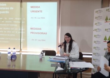 “Si pensamos que reduciendo la edad de imputabilidad bajamos el delito, la respuesta es no”