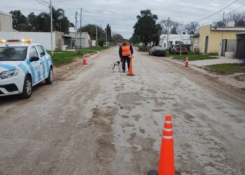 Informe semanal del Depto de Tránsito