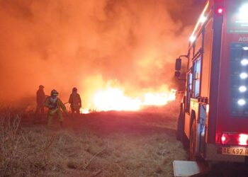Incendio en zona rural camino a Alicia
