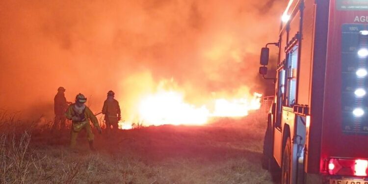 Incendio en zona rural camino a Alicia