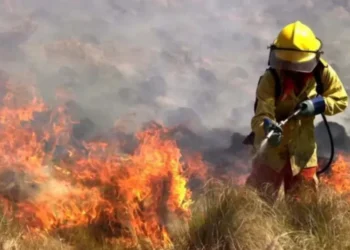 Bomberos locales fueron convocados| por el incendio en Yacanto