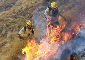 “Cualquier incendio pequeño se convierte en algo de gran magnitud por las condiciones climáticas”