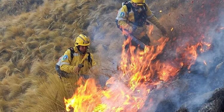 “Cualquier incendio pequeño se convierte en algo de gran magnitud por las condiciones climáticas”