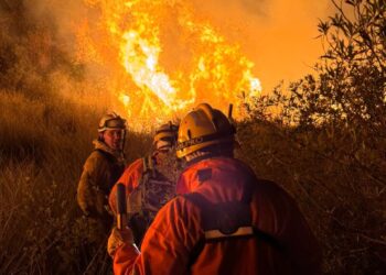 Incendio en zona rural de Las Varas