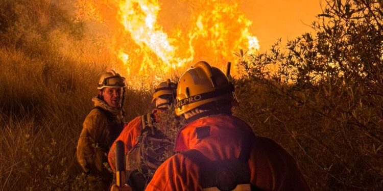 Incendio en zona rural de Las Varas