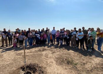 Sembrando Vida: se colocaron 43 palos borrachos en un sector de la ciudad