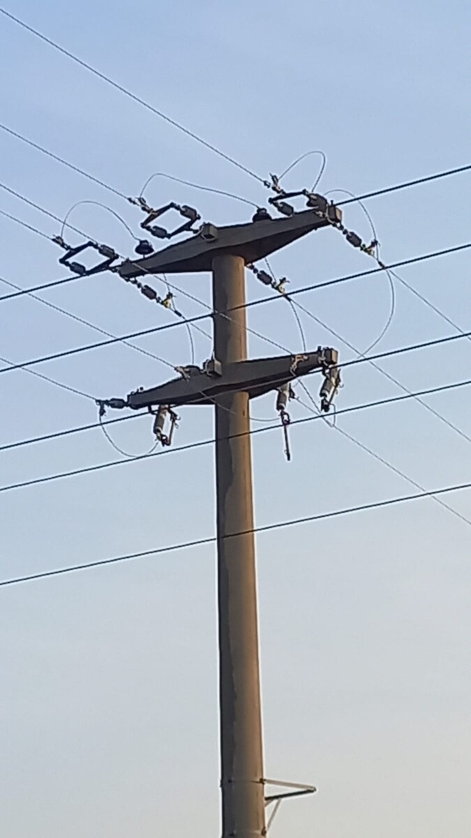 Robaron elementos de la Cooperativa en el tendido eléctrico rural
