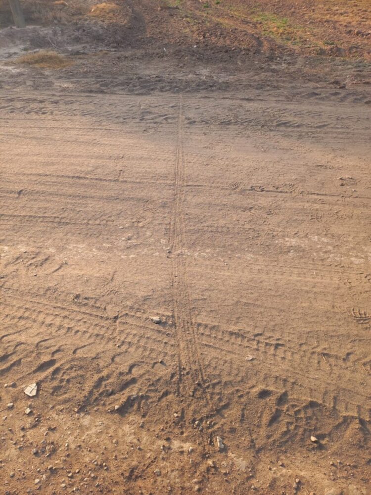 Robaron elementos de la Cooperativa en el tendido eléctrico rural