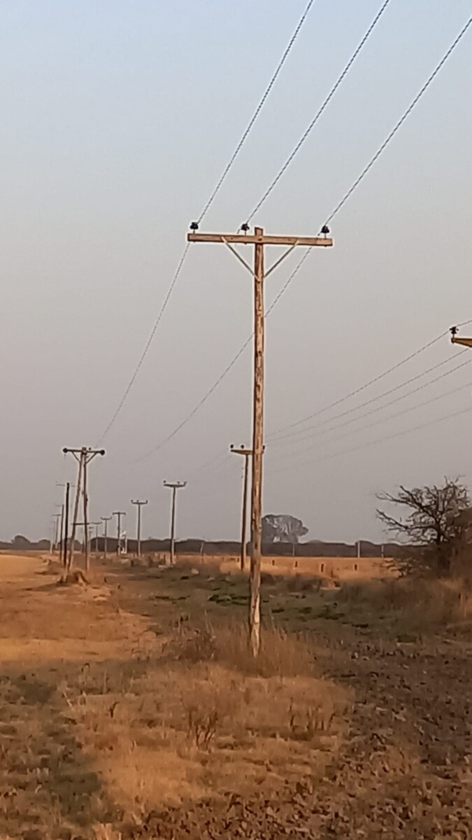 Robaron elementos de la Cooperativa en el tendido eléctrico rural