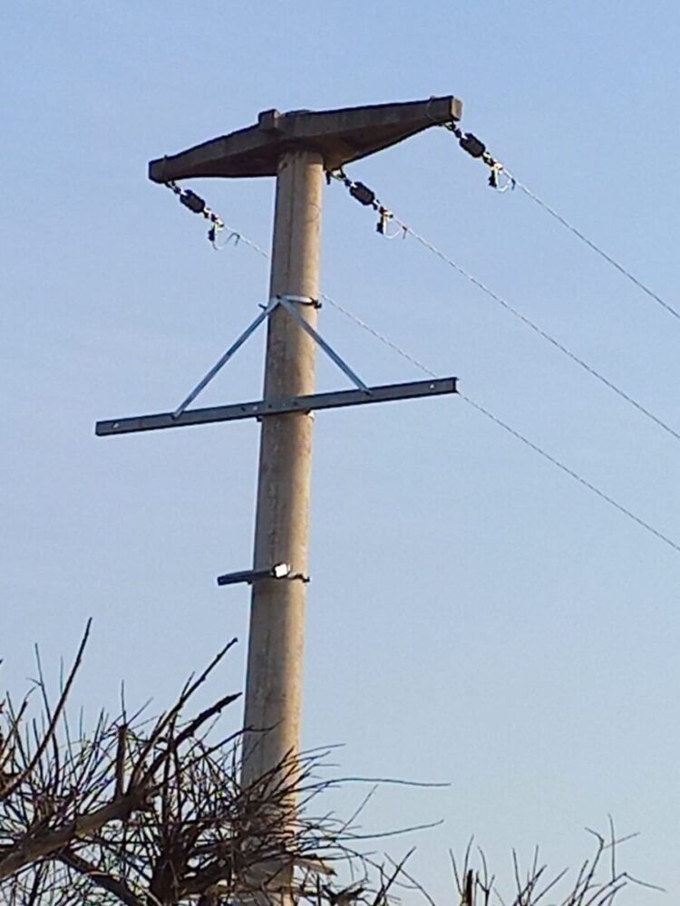 Robaron elementos de la Cooperativa en el tendido eléctrico rural