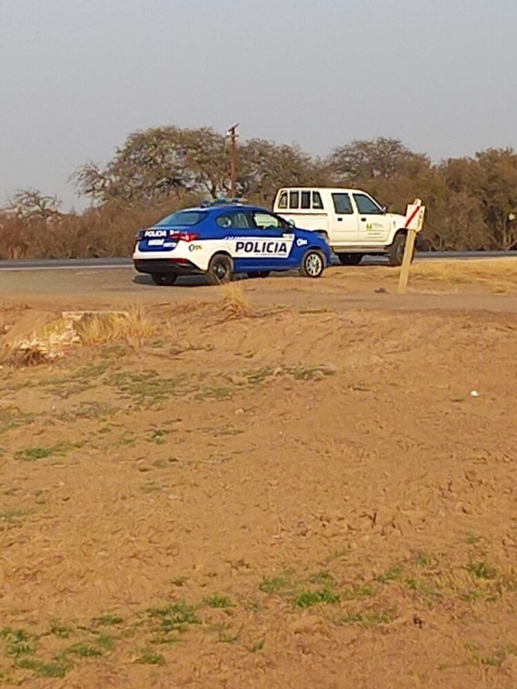 Robaron elementos de la Cooperativa en el tendido eléctrico rural