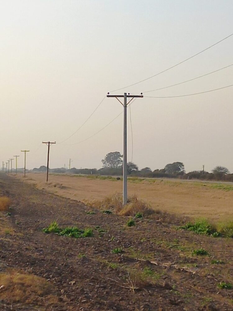 Robaron elementos de la Cooperativa en el tendido eléctrico rural