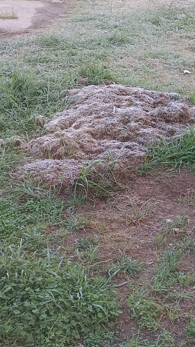 No fue nieve pero casi…