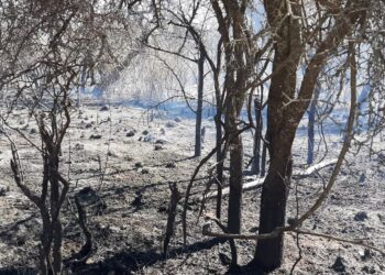 Incendios: «estamos con alerta extrema, tenemos bajos niveles de humedad”