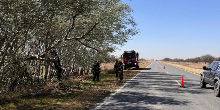 Por los fuertes vientos los Bomberos tuvieron dos salidas durante este lunes