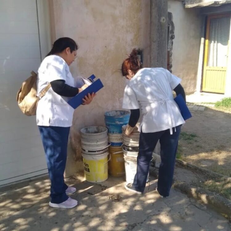 Operativo puerta a puerta de prevención del dengue