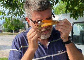 Dengue: el municipio monitoreó las ovitrampas colocadas en distintos sectores de la ciudad