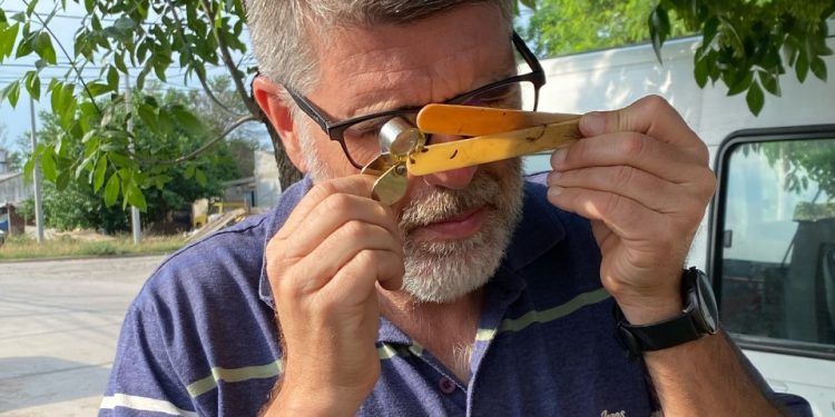 Dengue: el municipio monitoreó las ovitrampas colocadas en distintos sectores de la ciudad