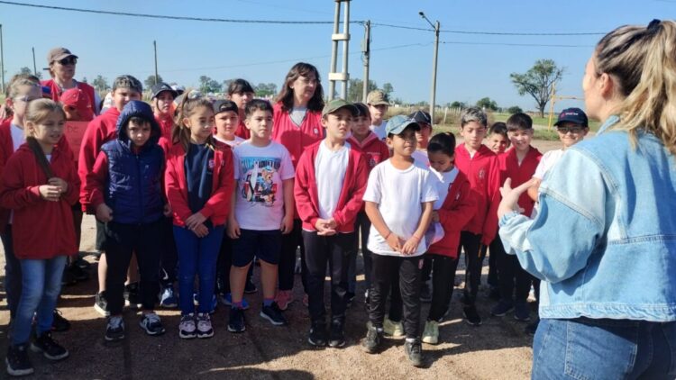 Plantación de árboles en la ciudad