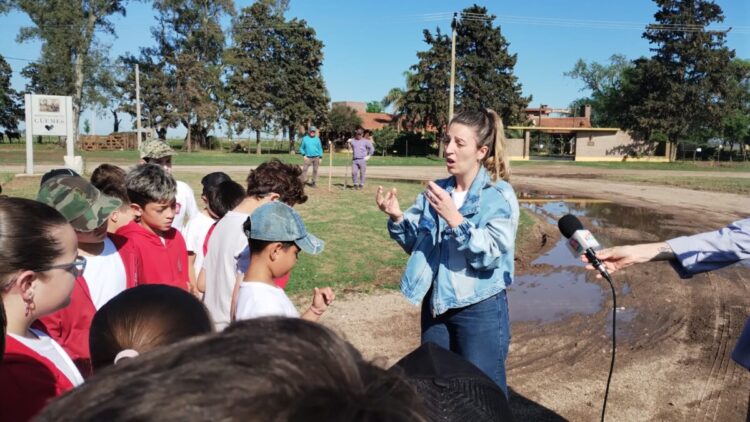 Plantación de árboles en la ciudad