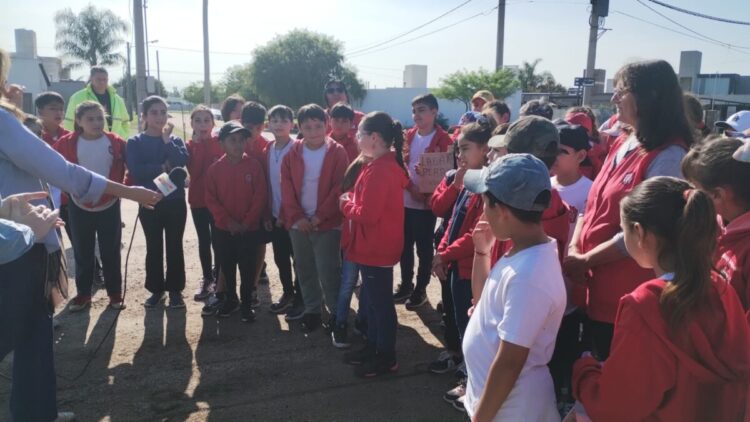 Plantación de árboles en la ciudad