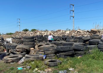 Prevención del dengue: Ambiente retiró 7 toneladas de neumáticos en desuso