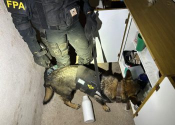 El Arañado: FPA realizó cuatro allanamientos y secuestró más de 1000 dosis de cocaína. Tres detenidos