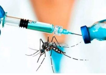 Dengue: quienes recibieron la notificación para la primera dosis y no concurrieron, tienen tiempo de hacerlo hasta el 20 de diciembre