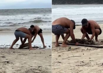 Varillenses se pusieron a limpiar una playa en Brasil luego del temporal