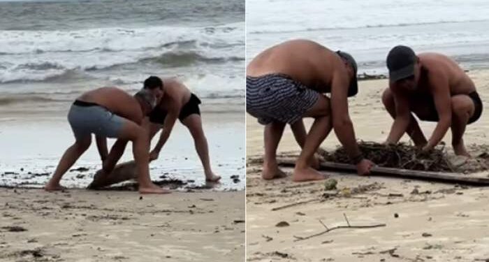 Varillenses se pusieron a limpiar una playa en Brasil luego del temporal