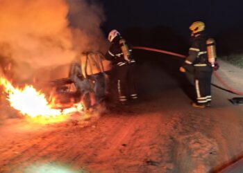 Incendio de automovil camino a San Bartolomé