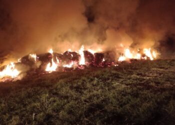 Durante 12 horas bomberos combatieron un incendio en zona rural