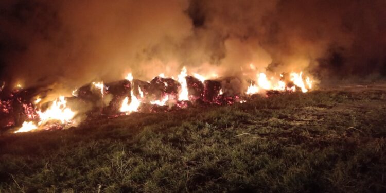 Durante 12 horas bomberos combatieron un incendio en zona rural