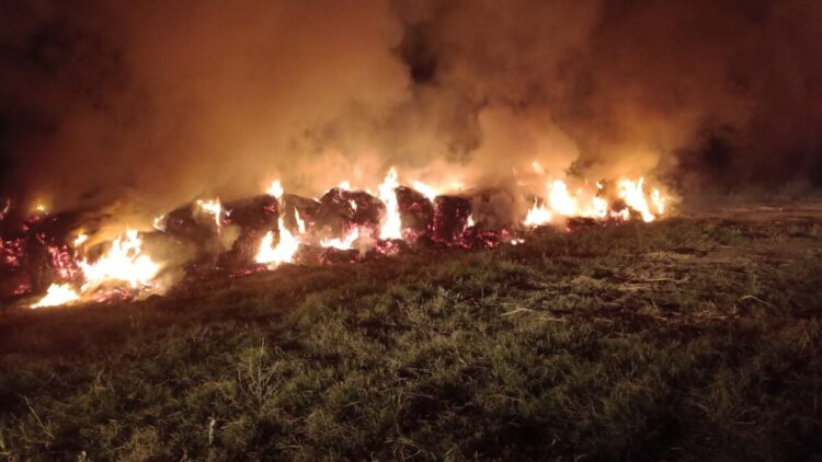 Durante 12 horas bomberos combatieron un incendio en zona rural