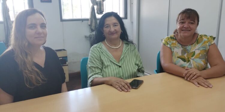 La escuela Dalmacio Vélez Sarsfield con carreras universitarias en el nivel superior