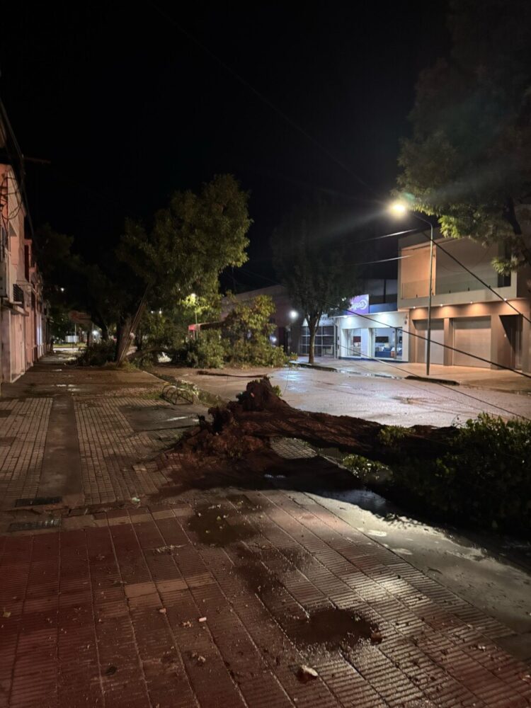 Temporal azotó la ciudad en la noche del miércoles