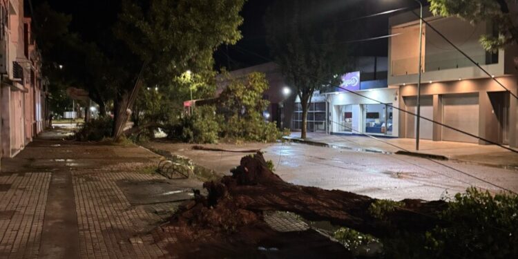 Temporal azotó la ciudad en la noche del miércoles