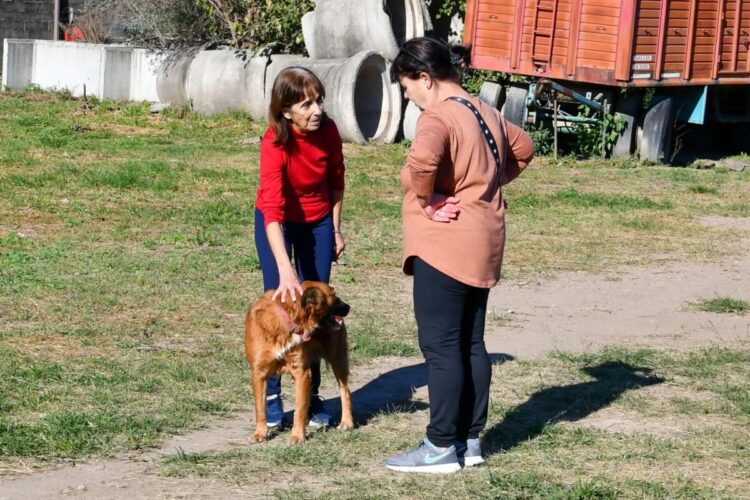 Festejo del día del animal en el Refugio Municipal