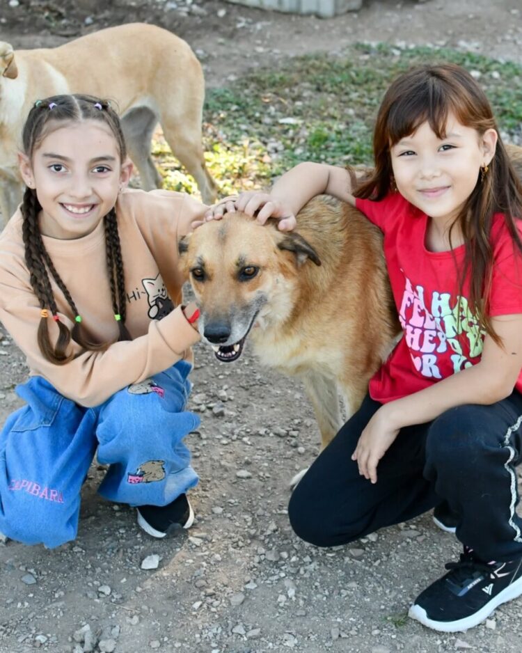 Festejo del día del animal en el Refugio Municipal