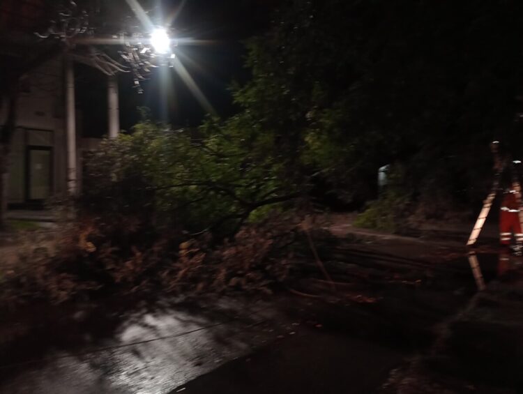 Intensa actividad de Bomberos durante el fin de semana