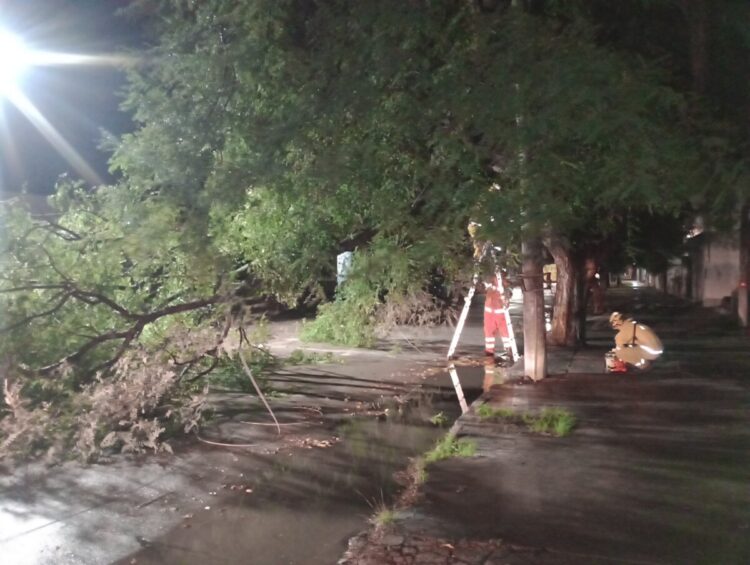 Intensa actividad de Bomberos durante el fin de semana
